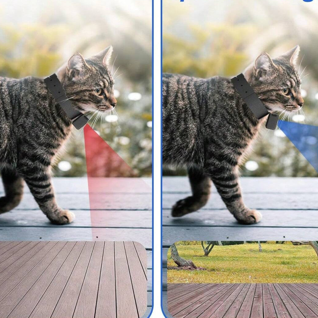 Maetiva | Portable 160° Pet Camera for Cats & Dogs with 1080P HD Video – 32GB
