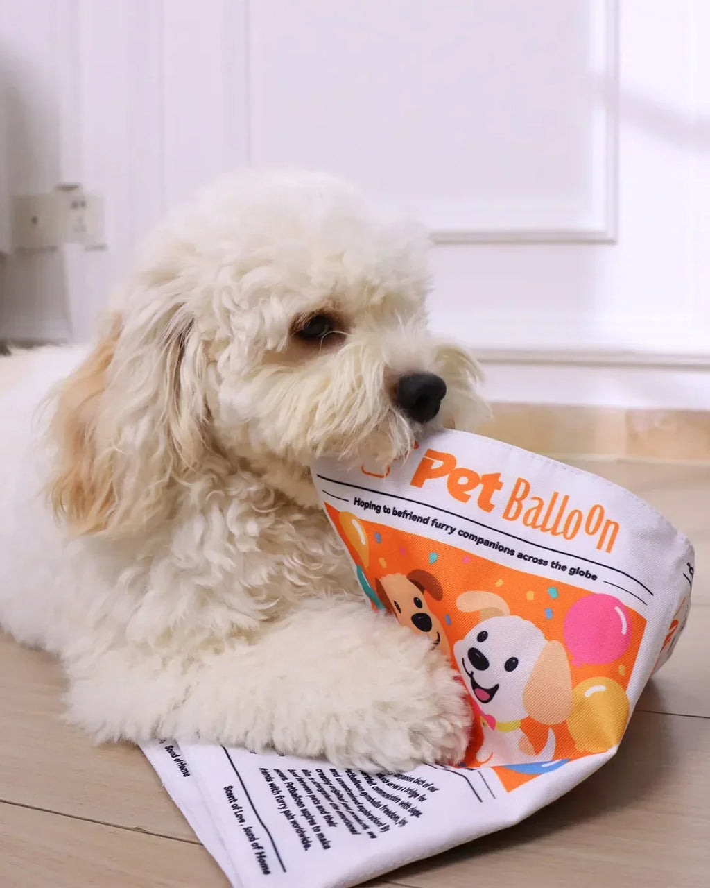 2-Pack Bundle Newspaper Interactive Crinkle Dog Toy for Boredom Relief
