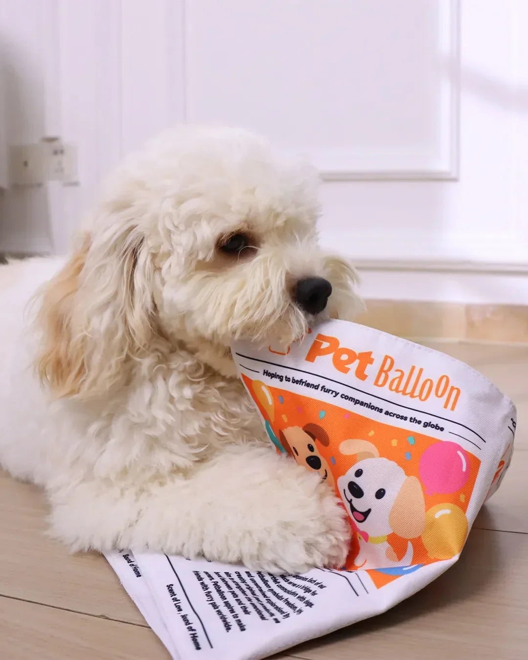 2-Pack Bundle Newspaper Interactive Crinkle Dog Toy for Boredom Relief