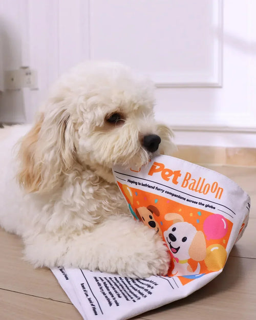 2-Pack Bundle Newspaper Interactive Crinkle Dog Toy for Boredom Relief