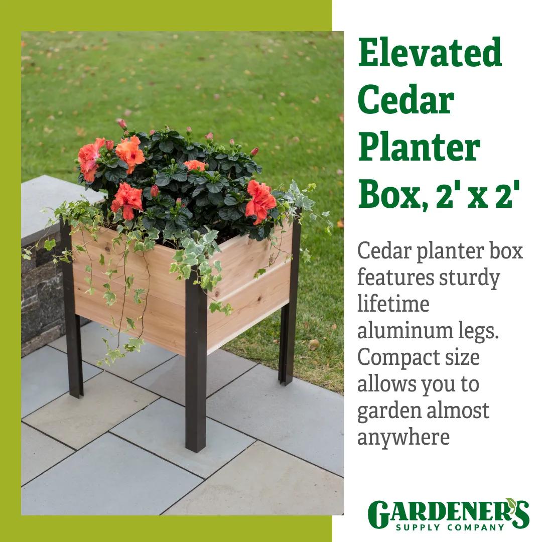 Elevated Planter Box, 2' x 2'
