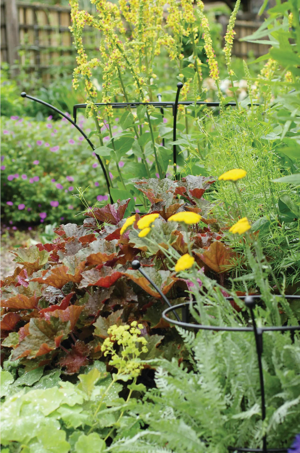 Essex™ Plant Supports