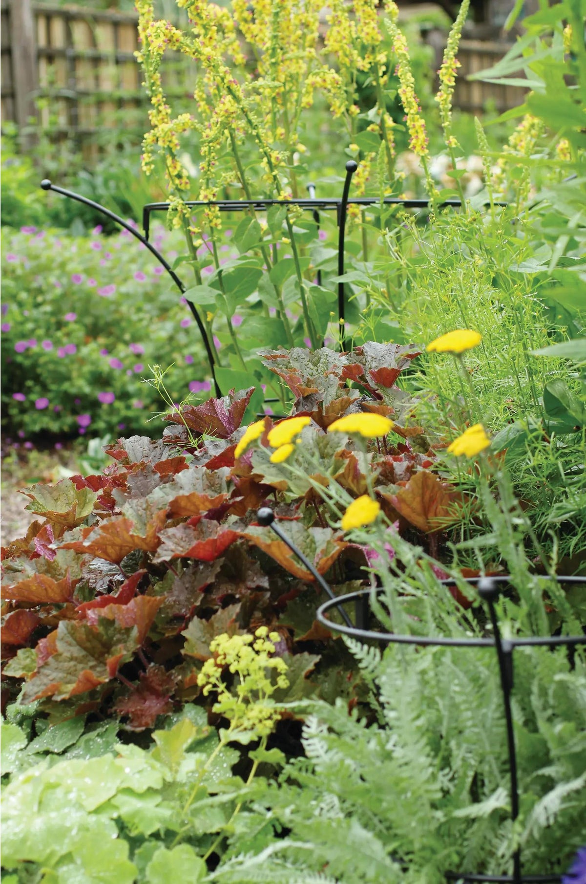 Essex™ Plant Supports