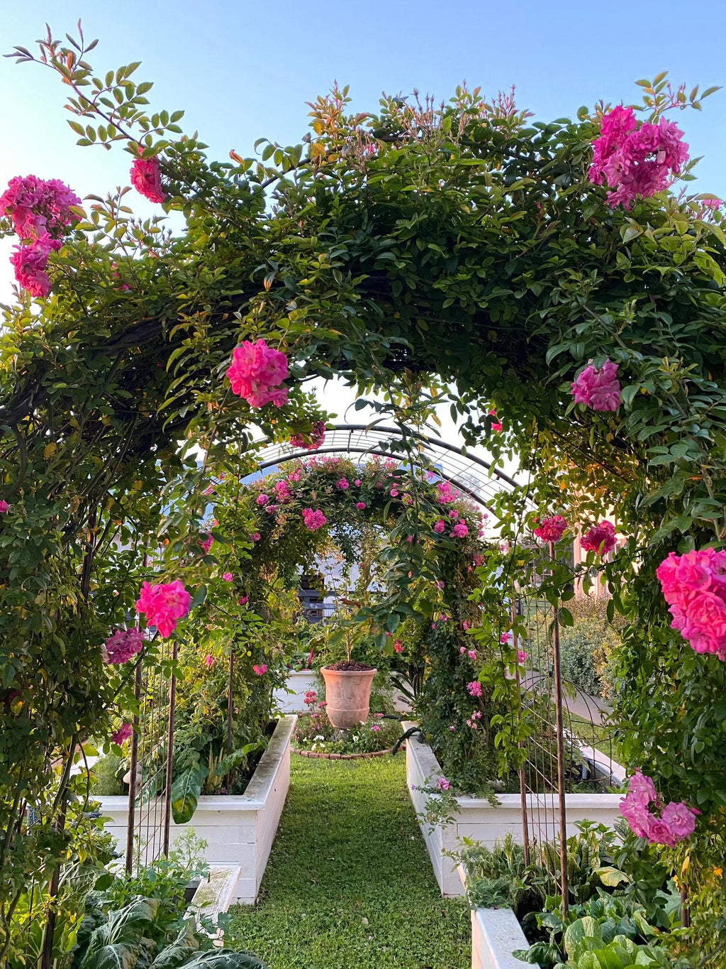 Jardin™ Rose Arch