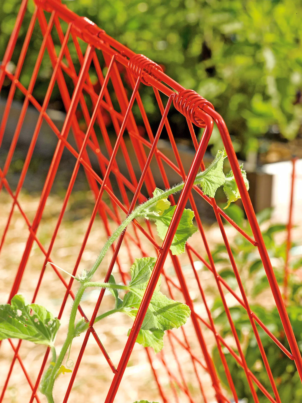 Deluxe Cucumber Trellis