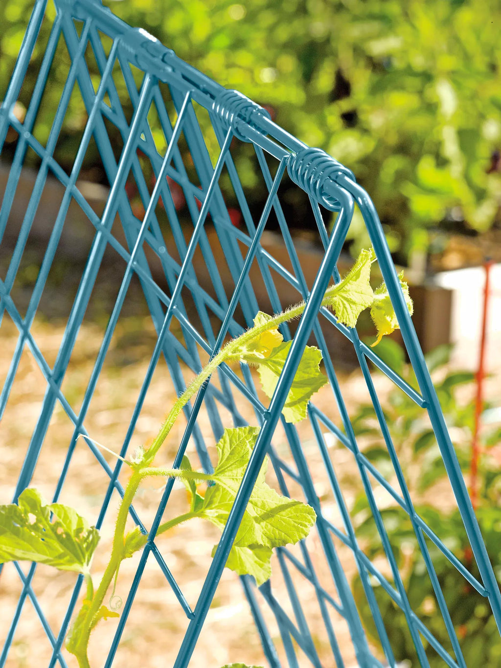 Deluxe Cucumber Trellis