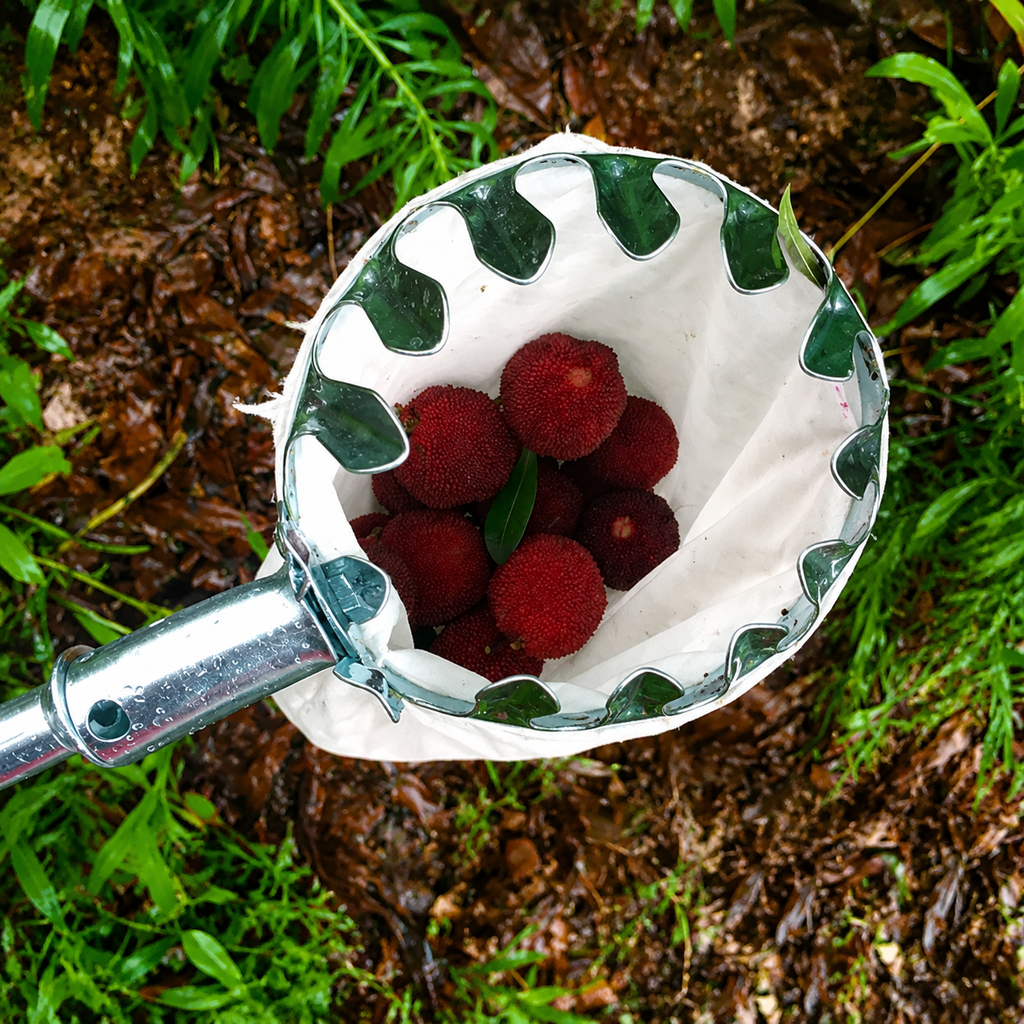 Fruit Picker Head Basket