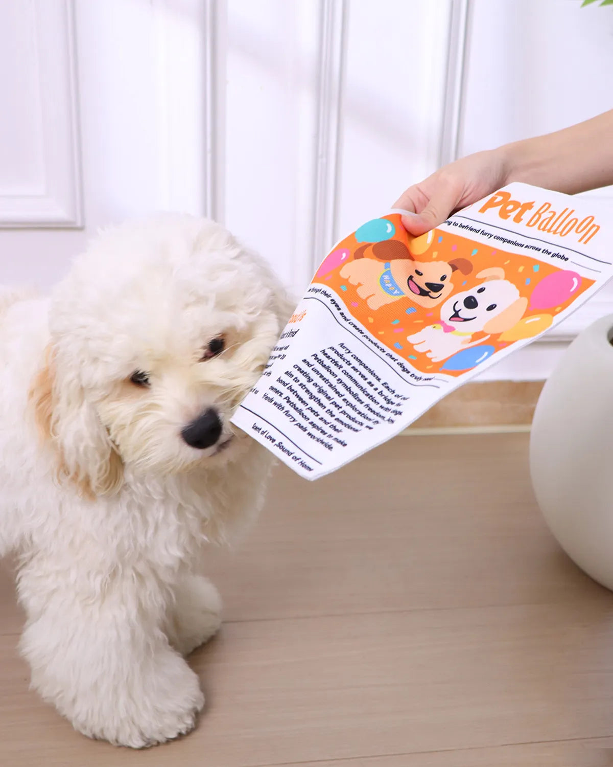 2-Pack Bundle Newspaper Interactive Crinkle Dog Toy for Boredom Relief