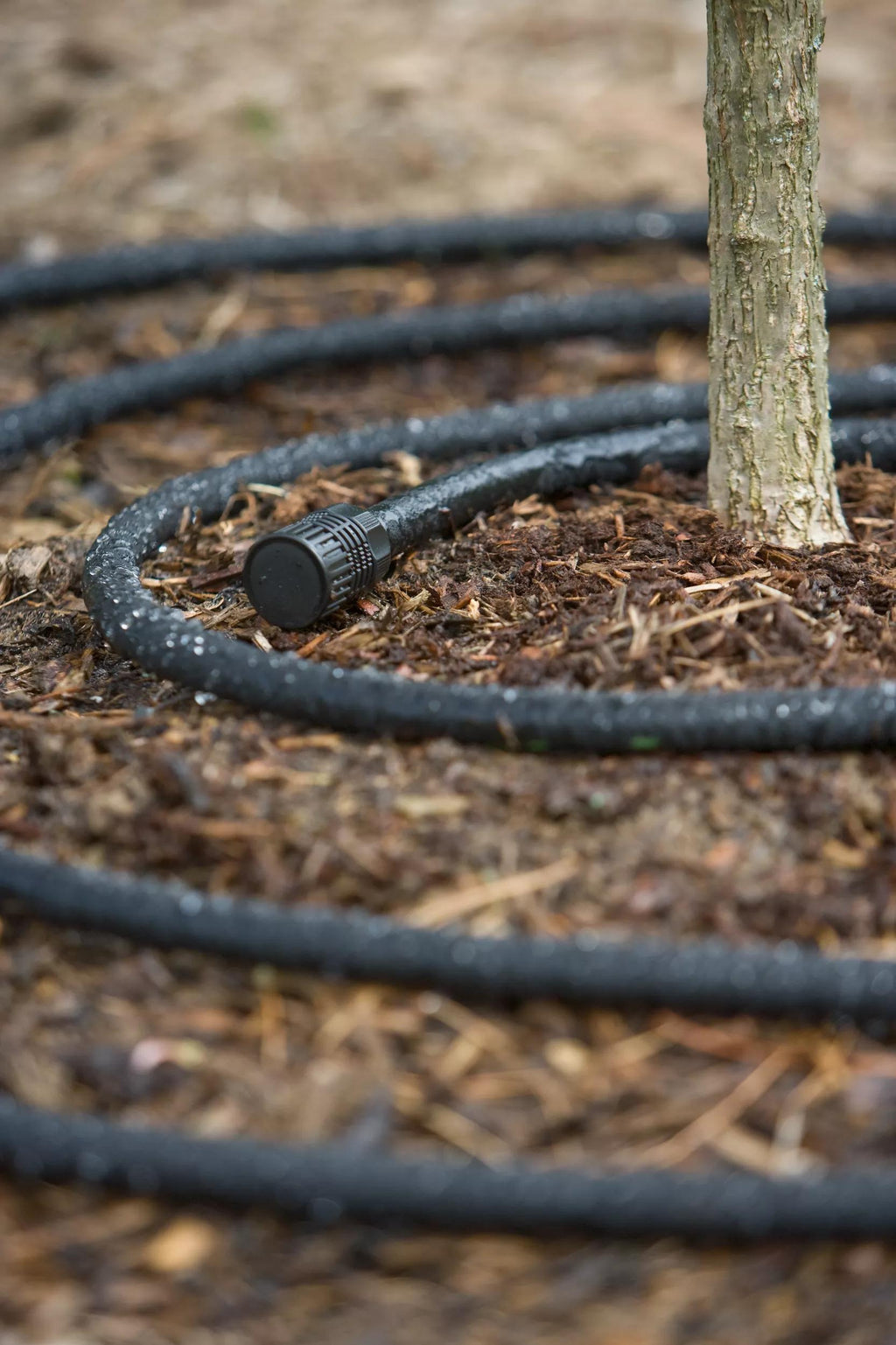 1Snip-n-Drip™ Soaker Hose System