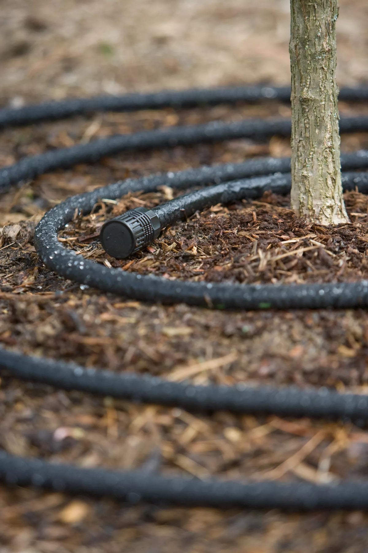 1Snip-n-Drip™ Soaker Hose System