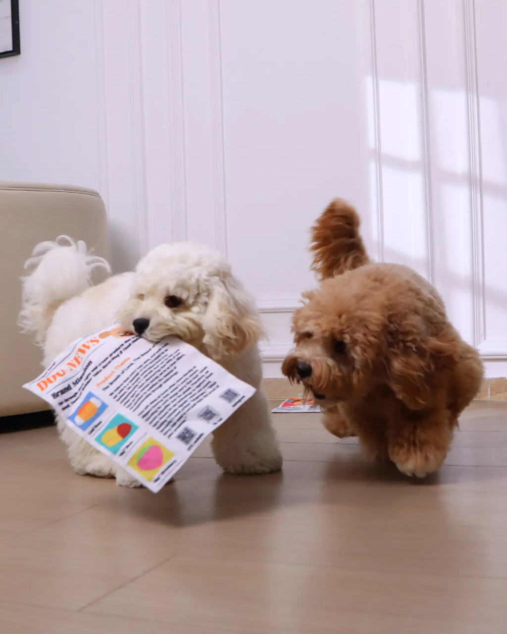 2-Pack Bundle Newspaper Interactive Crinkle Dog Toy for Boredom Relief