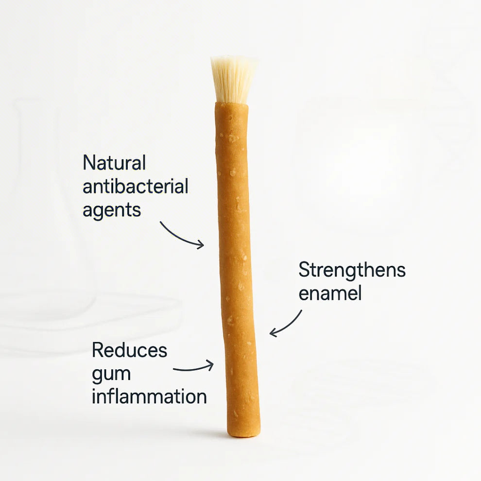Toothbrush Sticks for Oral Care