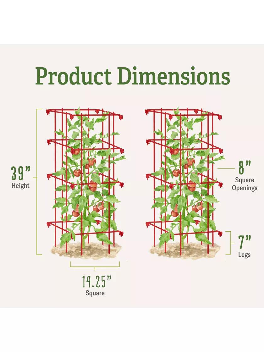 Tomato Cages, Set of 4