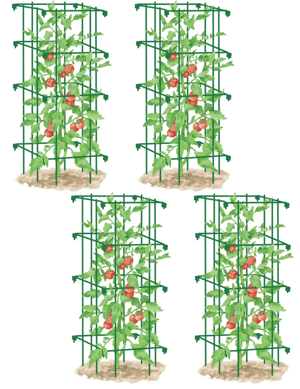 Tomato Cages, Set of 4