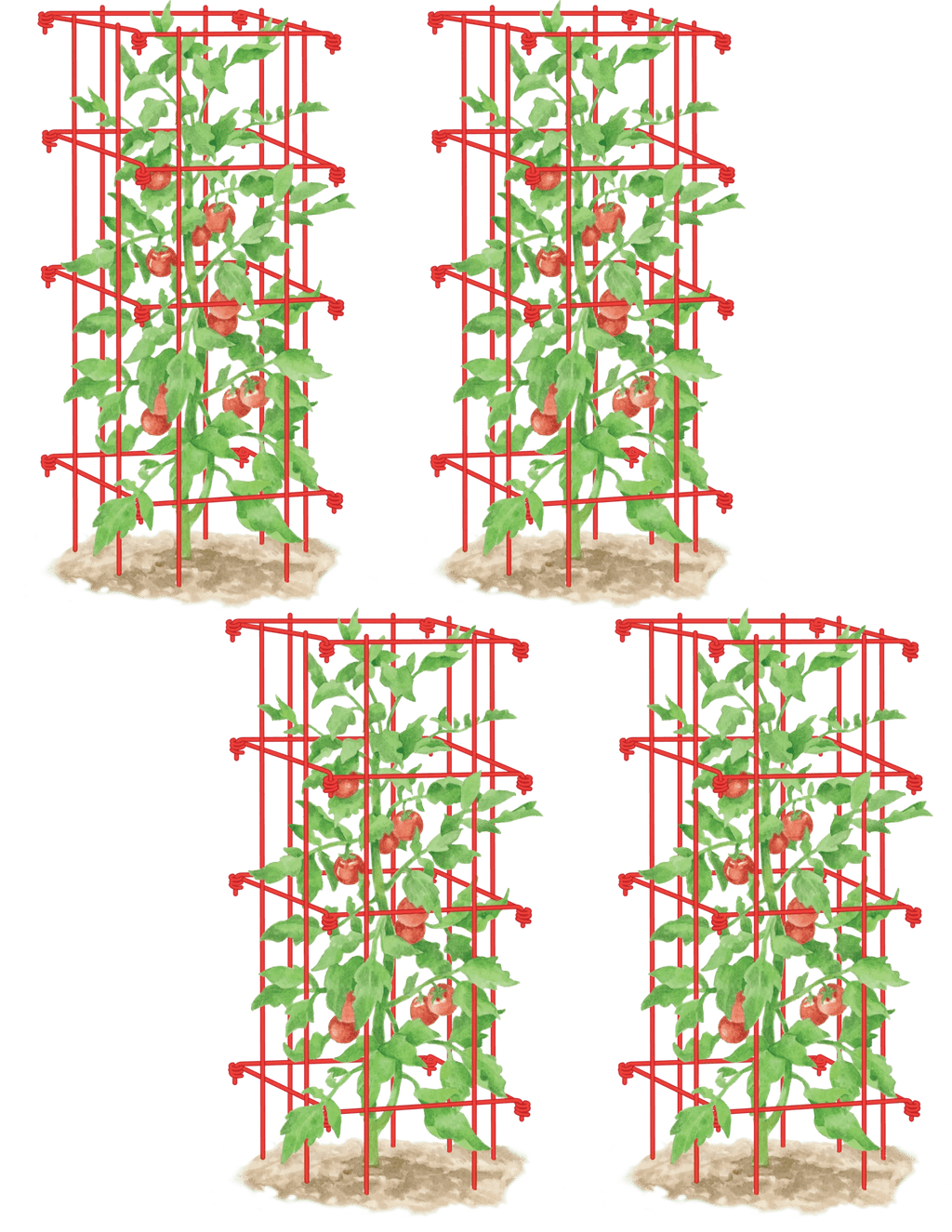 Tomato Cages, Set of 4