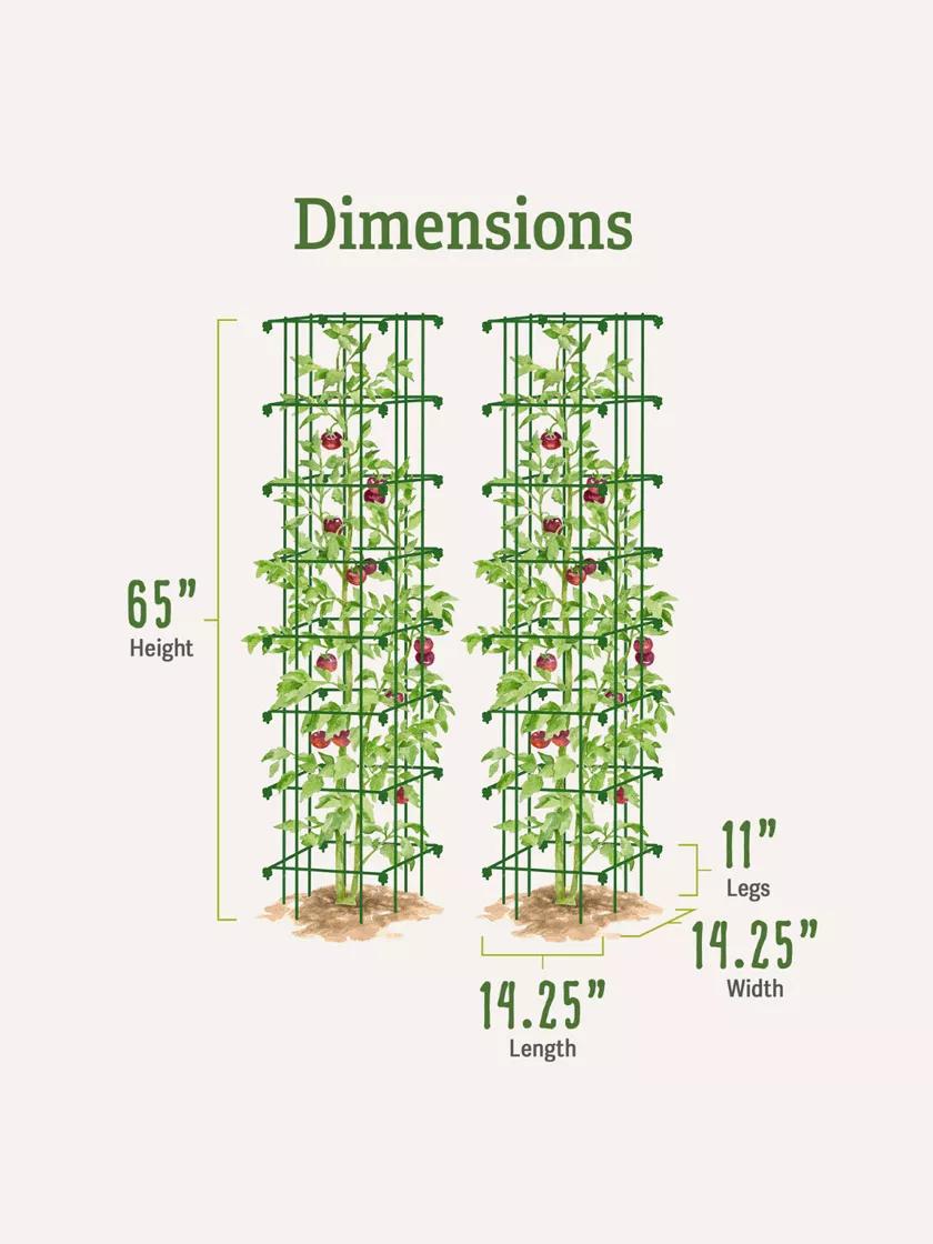 Tomato Towers, Set of 2