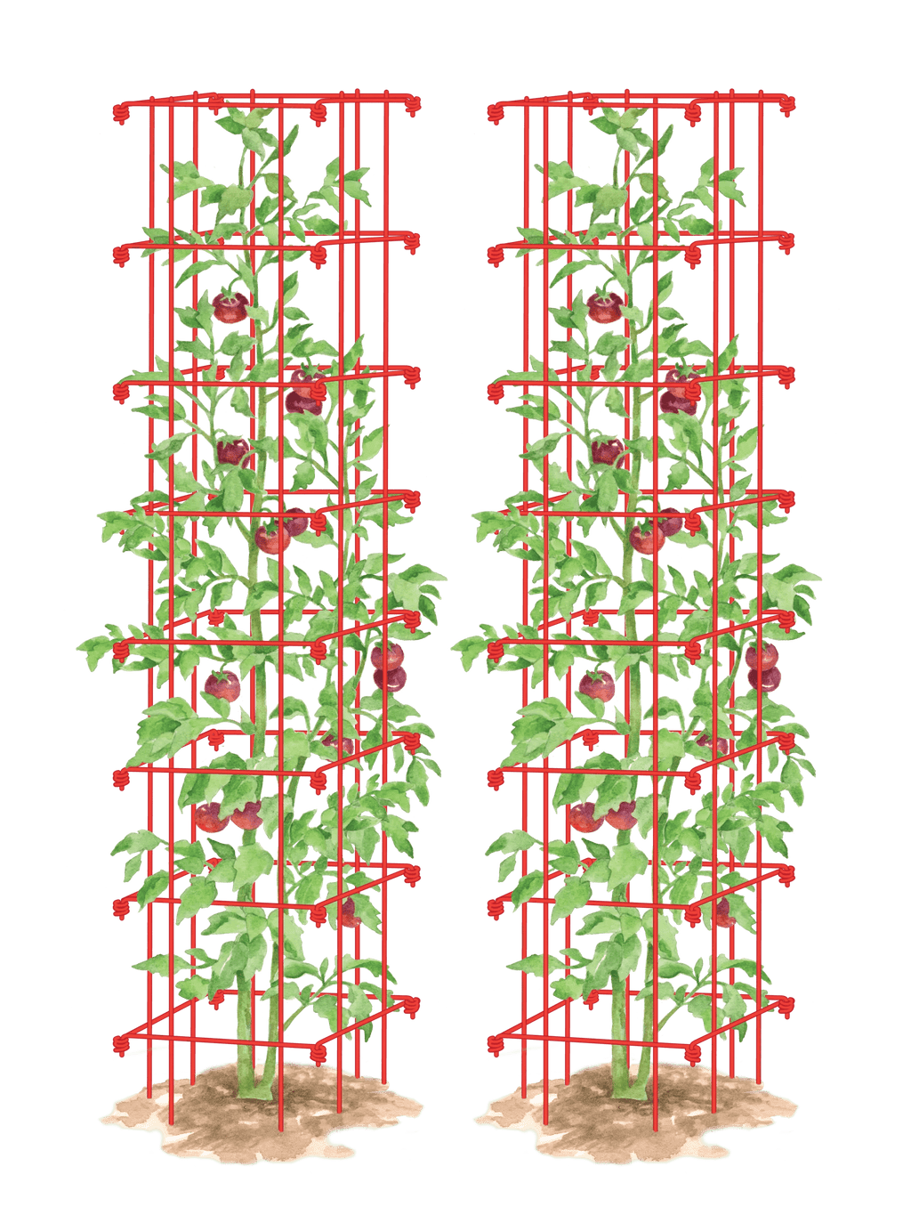 Tomato Towers, Set of 2