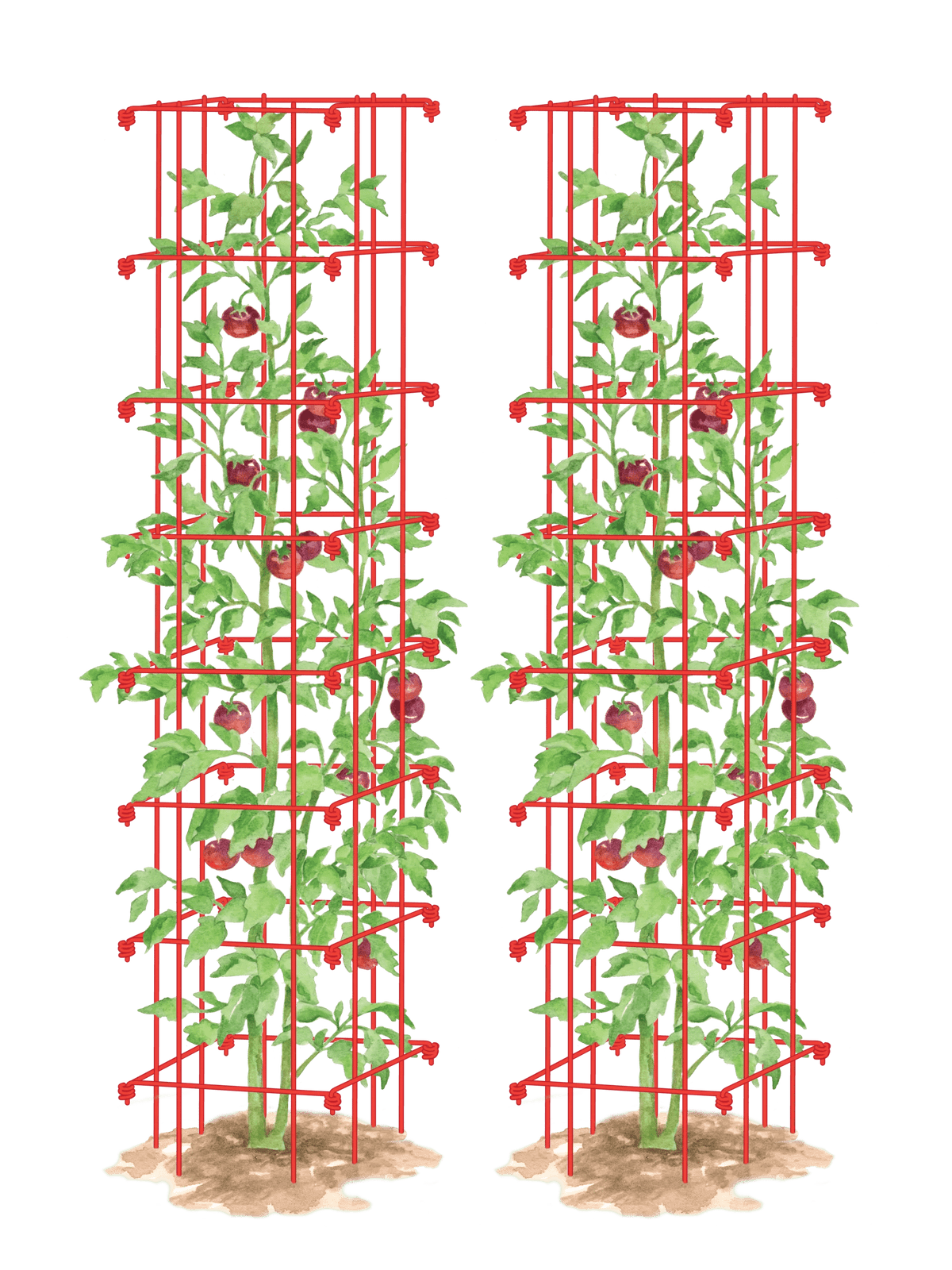 Tomato Towers, Set of 2