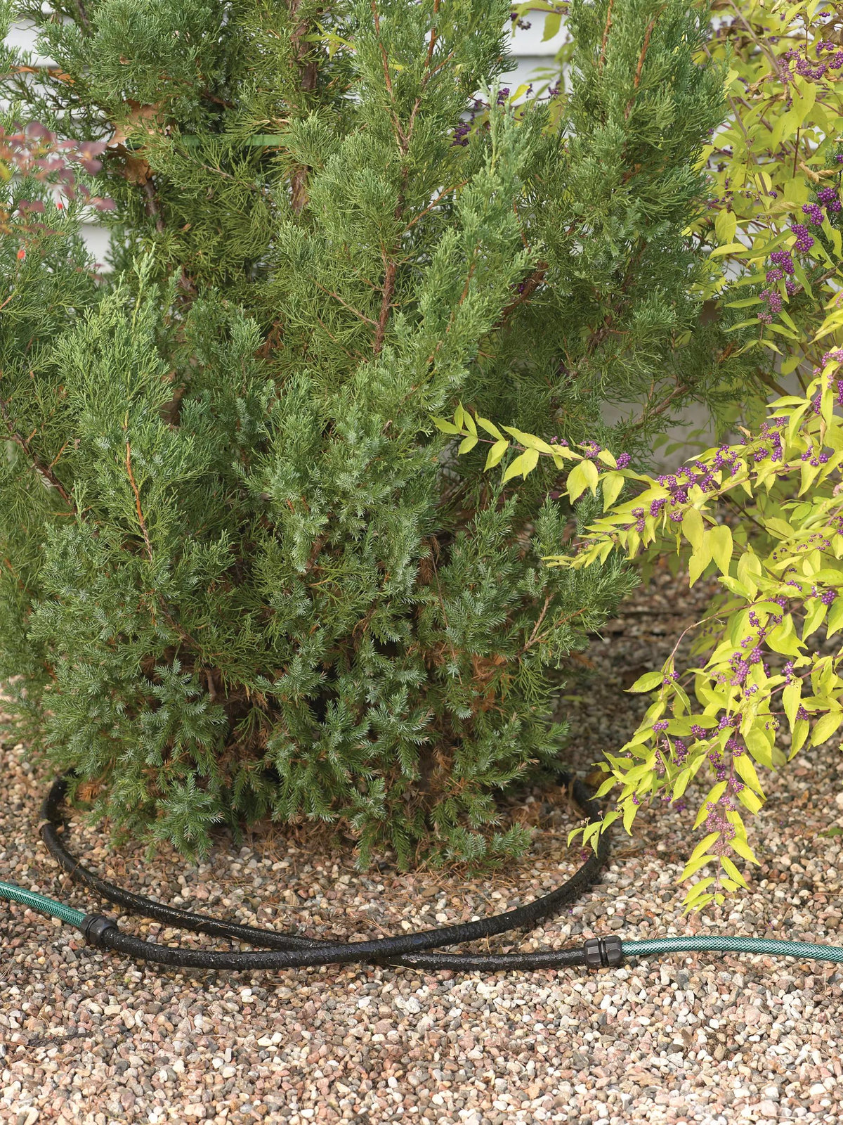 Snip-n-Drip™ Landscape Soaker System