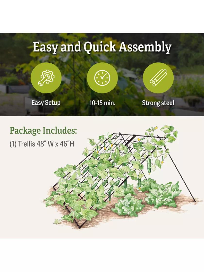 Large Cucumber Trellis