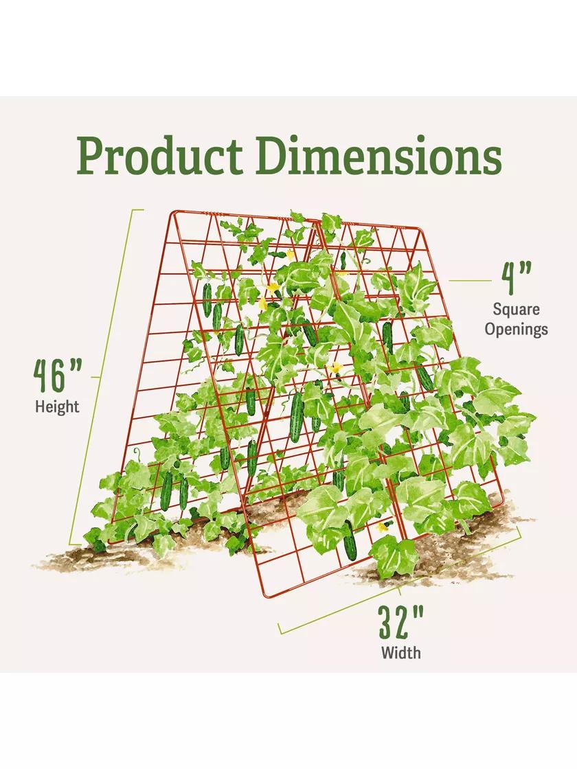Deluxe Cucumber Trellis