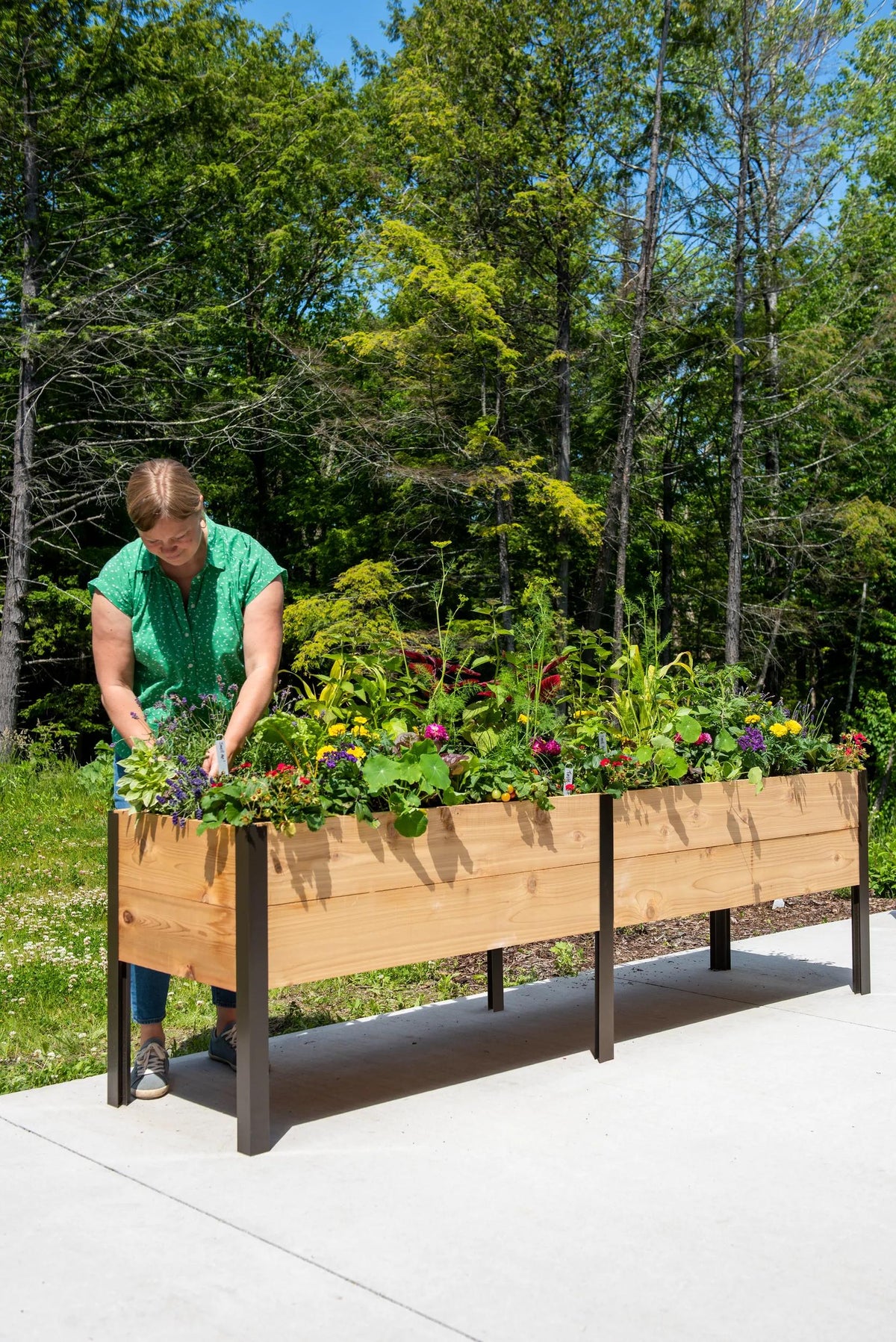 Elevated Cedar Planter Box, 2' x 8'