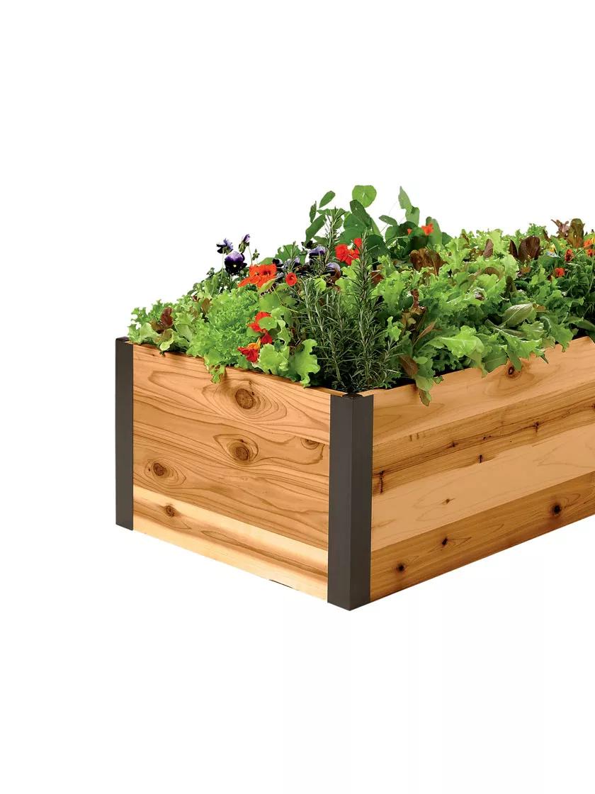 Deep Root™ Cedar Raised Beds, 2' Wide (14.5" D)