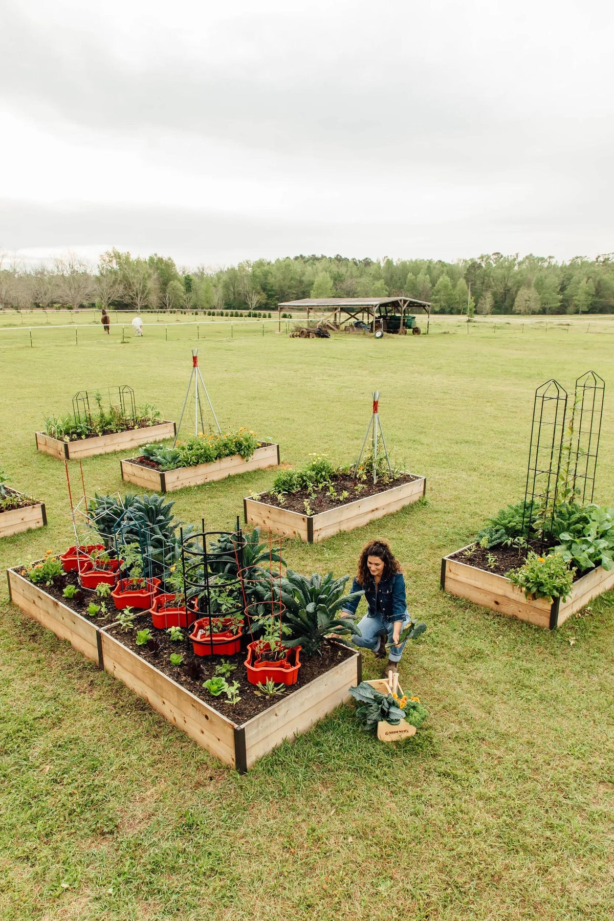 Deep Root™ Cedar Raised Beds, 4' Wide (14.5" D)