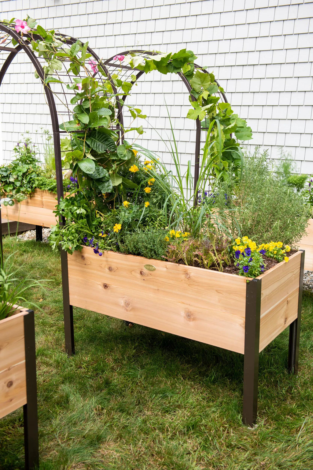 2' x 4' Arch Trellis for Planter Boxes