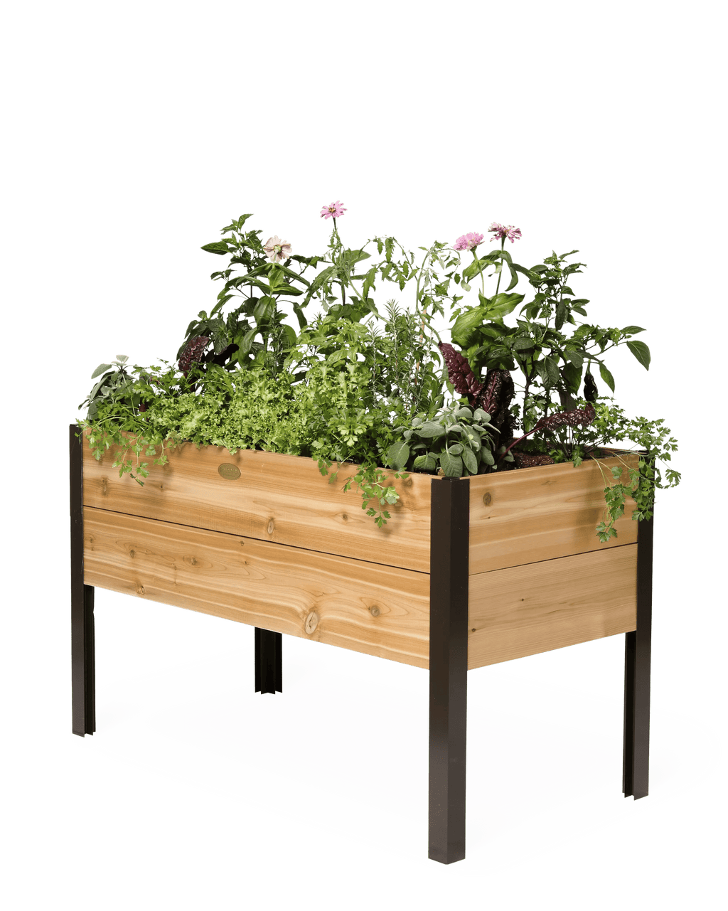 Elevated Cedar Planter Box, 2' x 4'