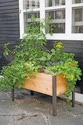 Elevated Cedar Planter Box, 2' x 4'
