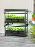 Stack-n-Grow™ Lights - 2-Tier System