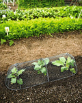 3-in-1 Chicken Wire Cloche