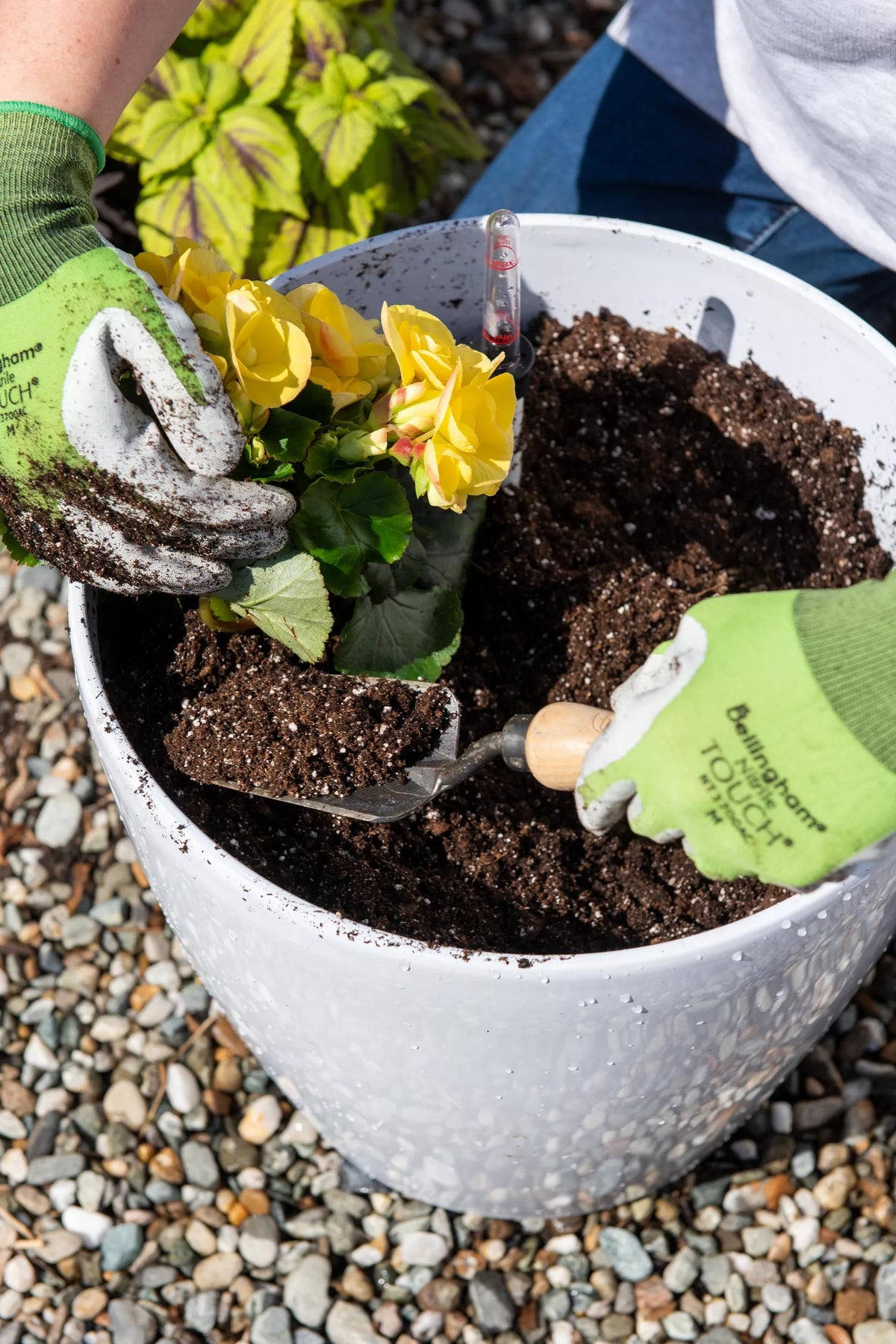 Self-Watering Potting Mix, 20 Qts.