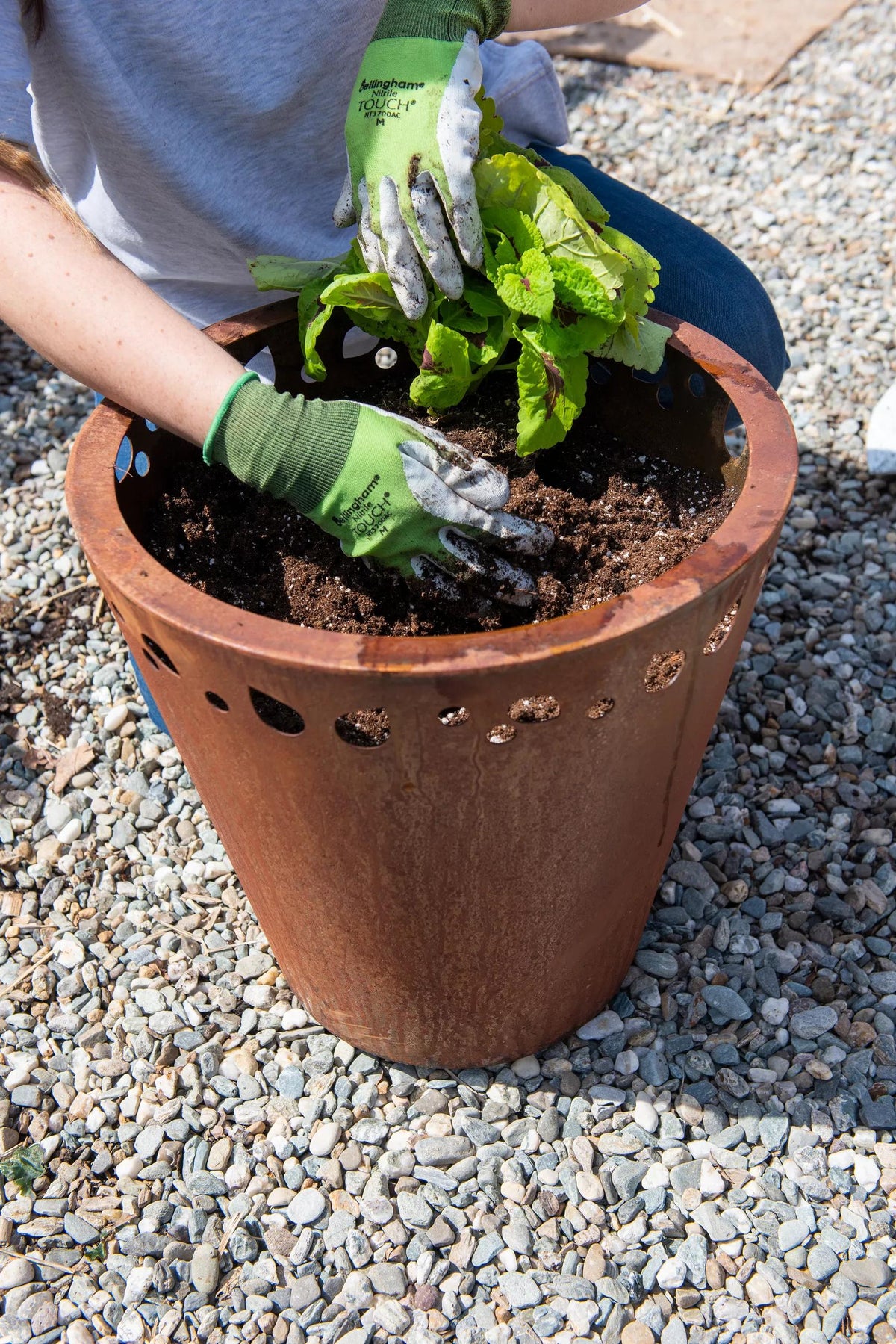 Potting Mix, 20 Qts.
