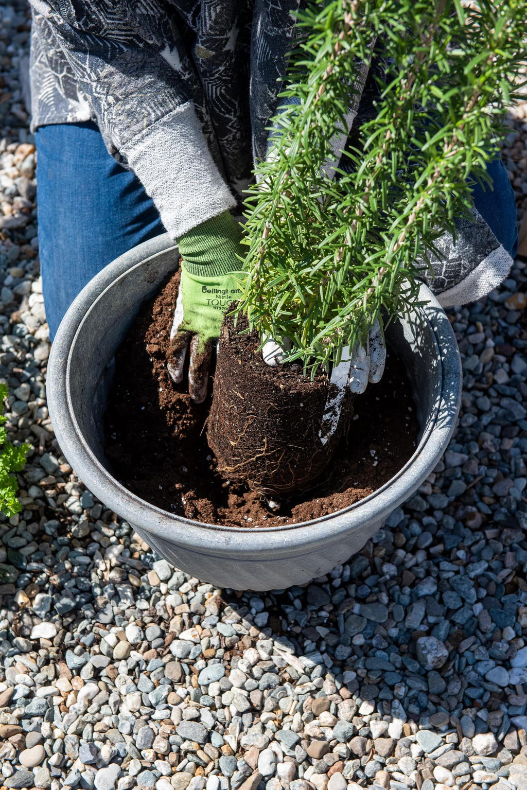 Organic Self-Watering Potting Mix, 20 Qts.