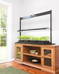 LED SunLite®  Tabletop Garden