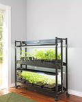 LED SunLite®  2-Tier Garden