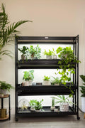 LED SunLite®  3-Tier Garden