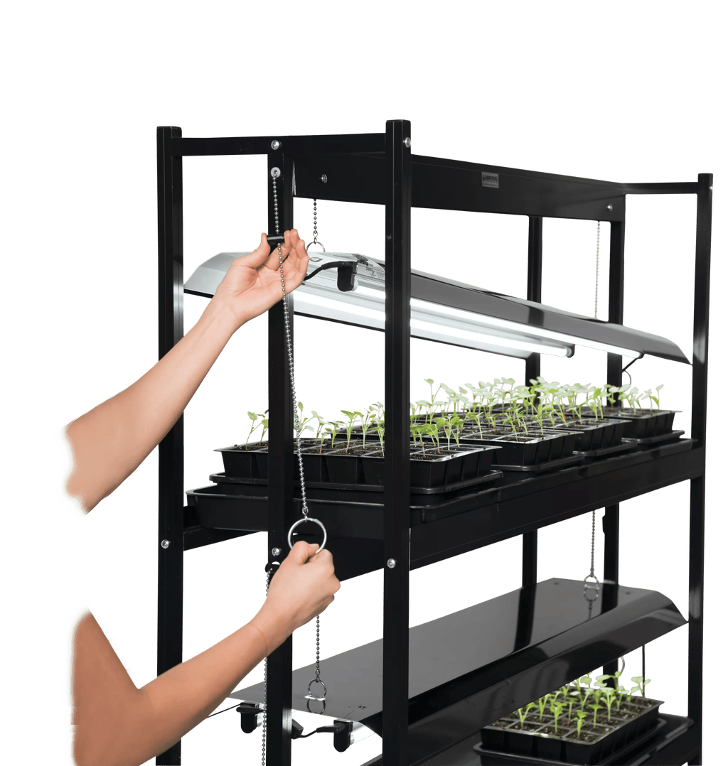 LED SunLite®  Tabletop Garden