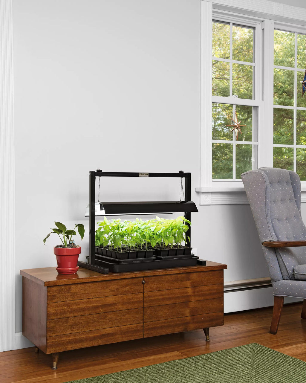LED SunLite®  Compact Tabletop Garden