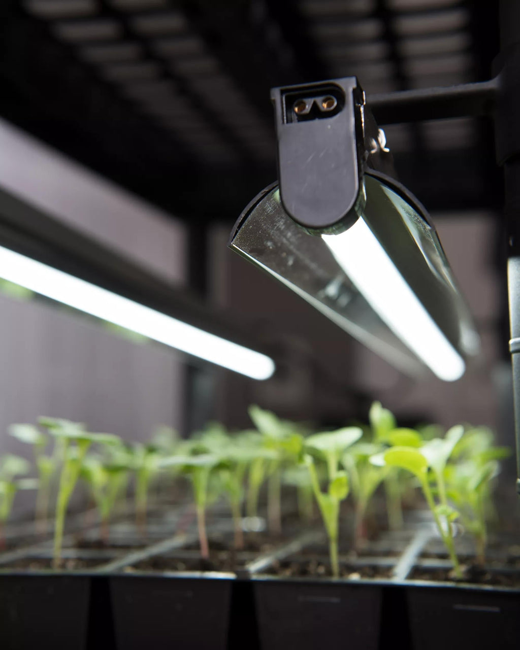 LED Stack-n-Grow™ Lights - Base Unit