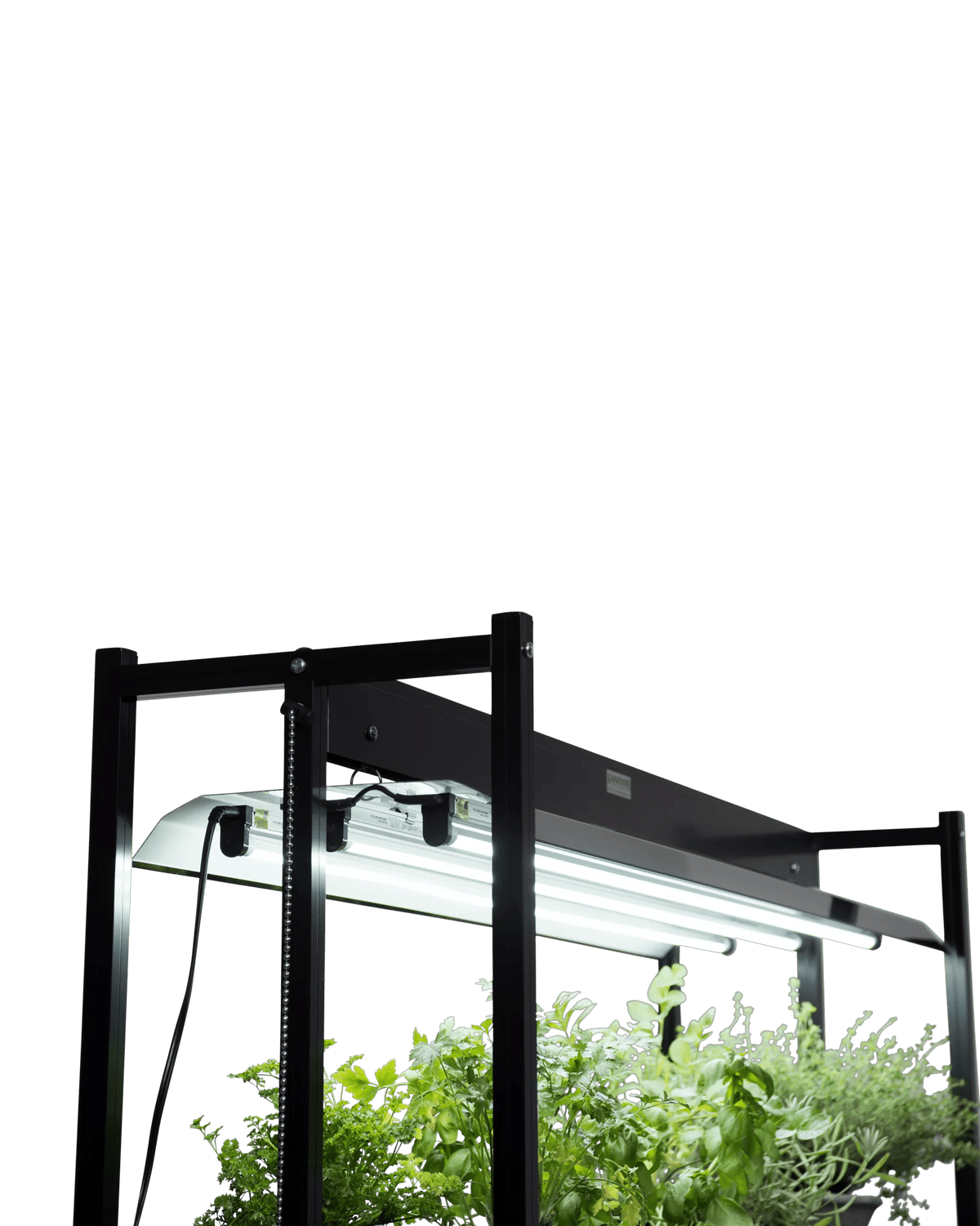 LED SunLite®  High Intensity Fixture
