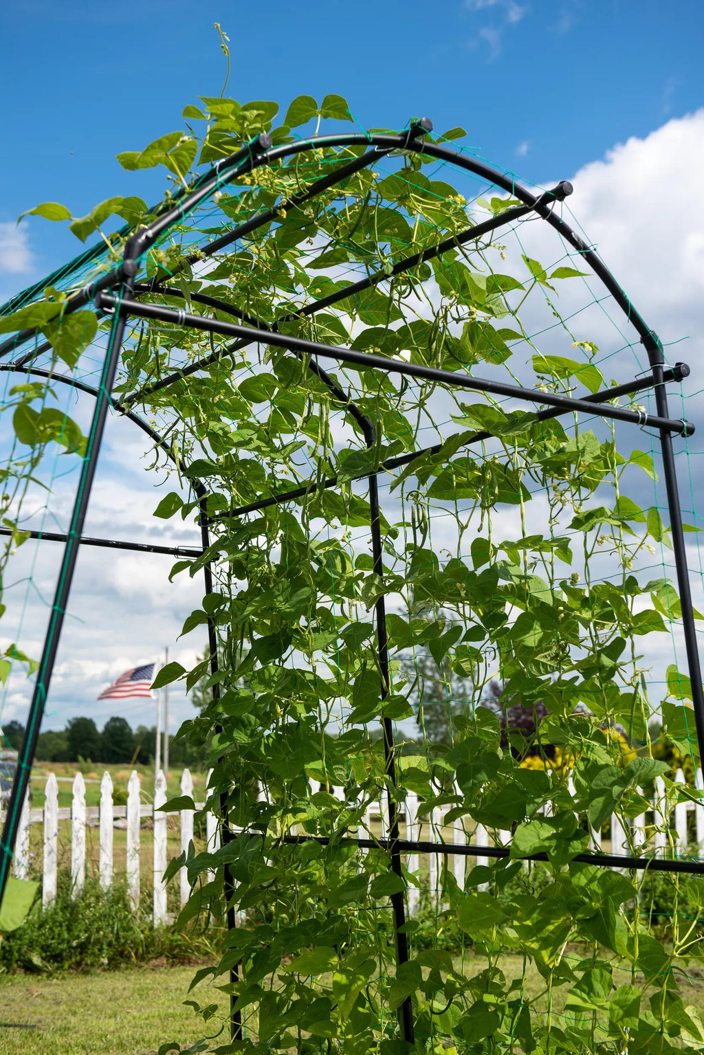 Titan™ Squash Tunnel