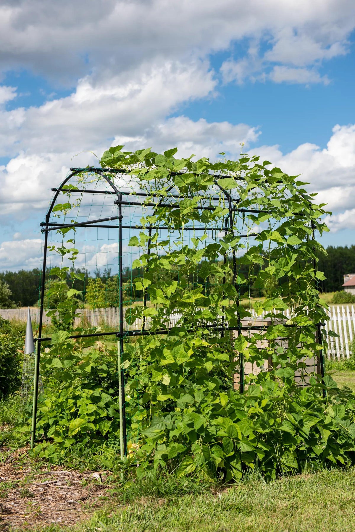 Titan™ Squash Tunnel