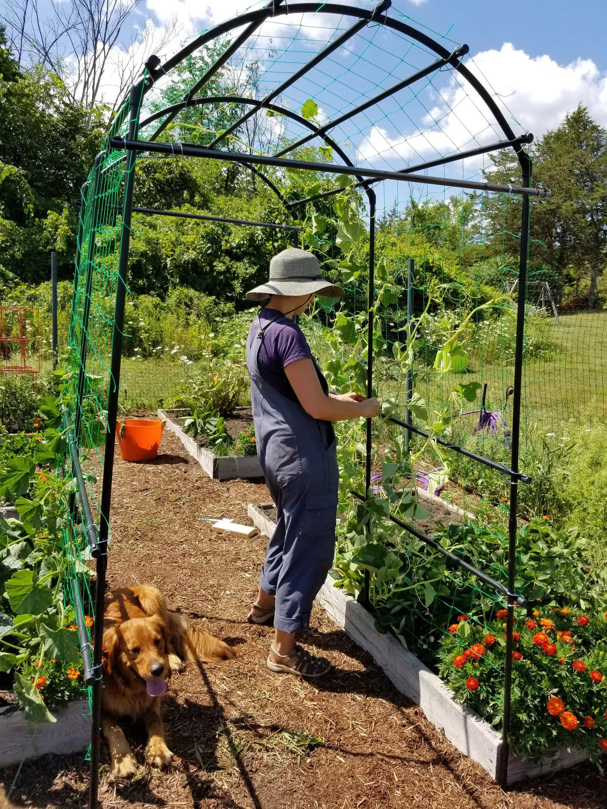 Titan™ Squash Tunnel