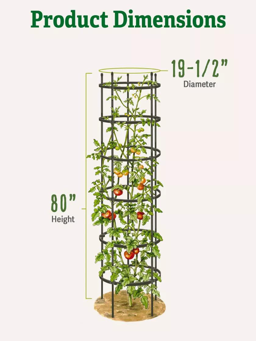 Titan™ Tall Tomato Cages, Set of 3