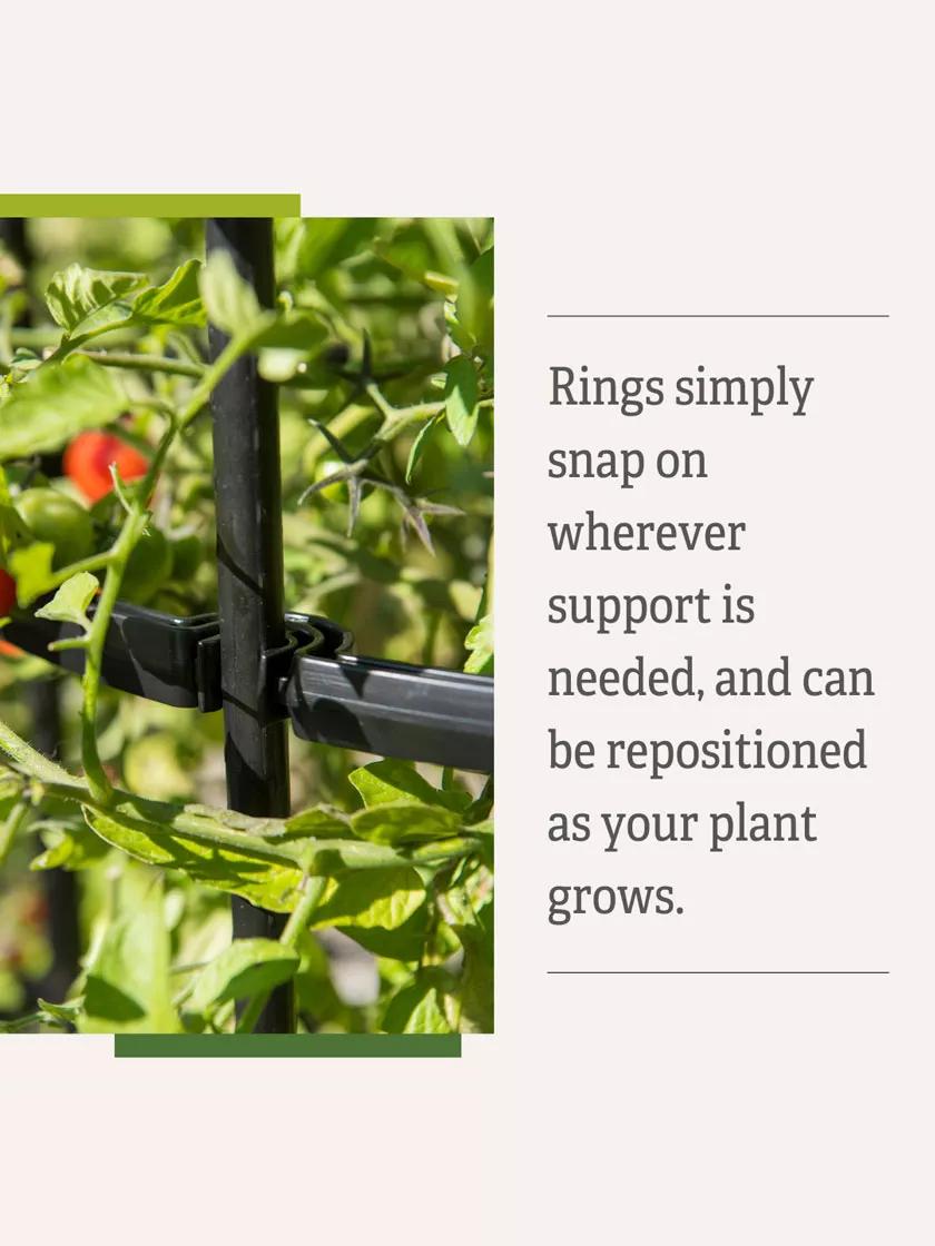 Titan™ Tall Tomato Cages, Set of 3