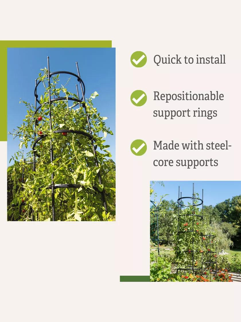 Titan™ Tall Tomato Cages, Set of 3