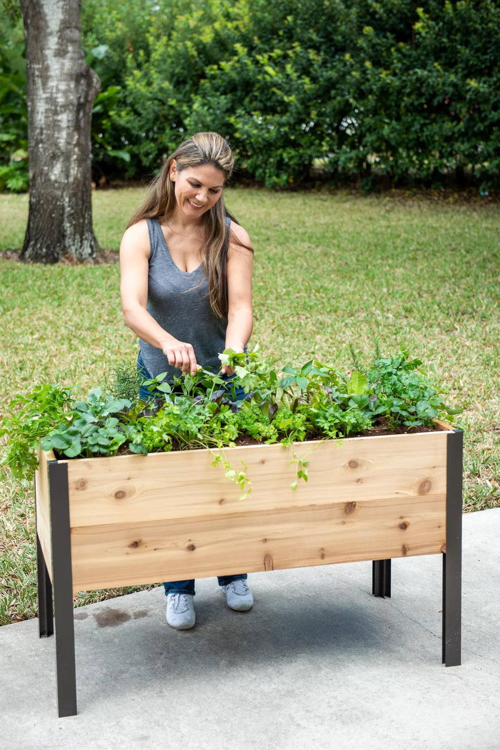 Self-Watering Elevated Cedar Planter Box, 2' x 4'
